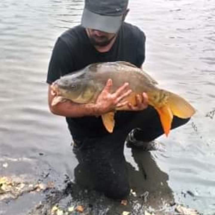Djaafar - Robledillo de la Jara - Madrid | Trans