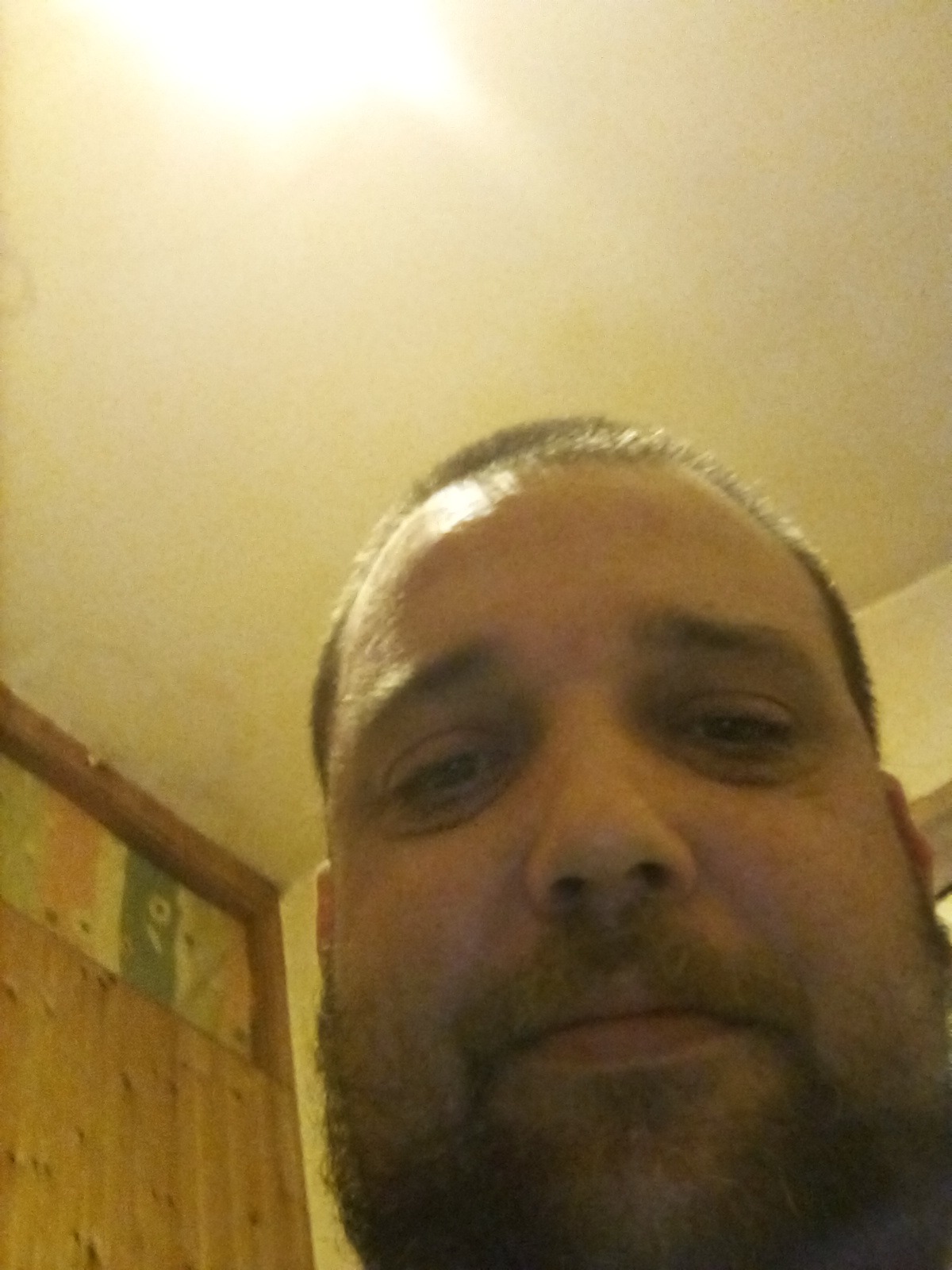 Micheal - Hoyo de Manzanares - Madrid | Trans
